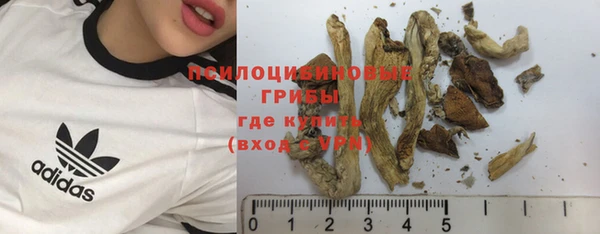 трава Балахна