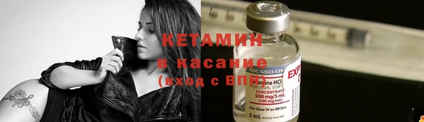 трава Балахна