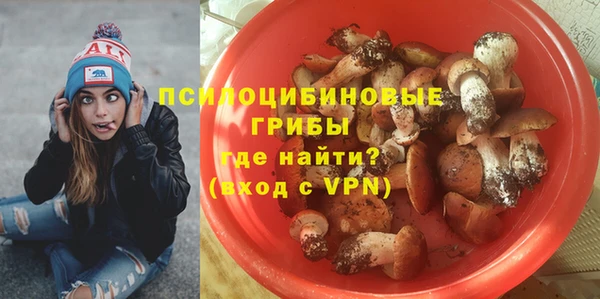трава Балахна