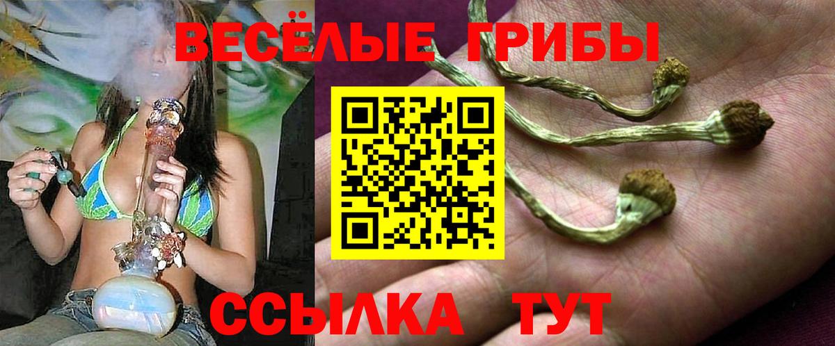 Белогорск  Псилоцибиновые грибы GOLDEN TEACHER  Вход с VPN  Псилоцибиновые грибы ЛСД 